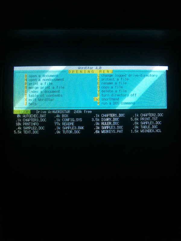 PC-9801E動態保存