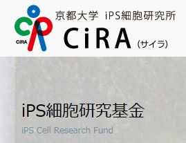 iPS細胞研究基金
