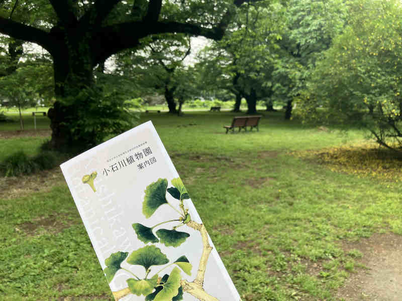 小石川植物園